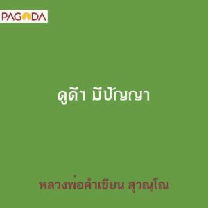 ดูดีดี มีปัญญา รูปภาพ 1