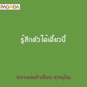 รู้สึกตัวได้เดี๋ยวนี้ รูปภาพ 1