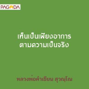 เห็นเป็นเพียงอาการตามความเป็นจริง รูปภาพ 1