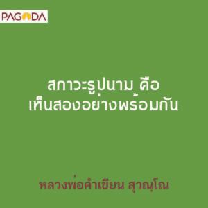 สภาวะรูปนามคือเห็นสองอย่างพร้อมกัน รูปภาพ 1