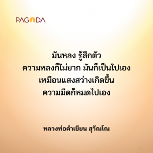 ปฏิบัติเอง รู้เอง เห็นเอง รูปภาพ 1