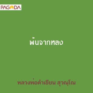 พ้นจากหลง รูปภาพ 1