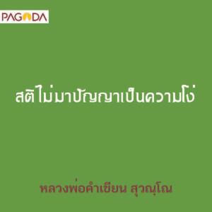 สติไม่มาปัญญาเป็นความโง่ รูปภาพ 1