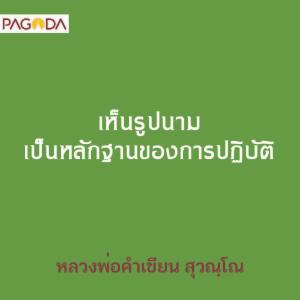 เห็นรูปนามเป็นหลักฐานของการปฏิบัติ รูปภาพ 1