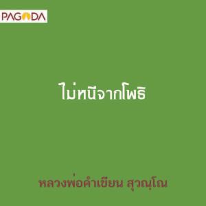 ไม่หนีจากโพธิ รูปภาพ 1