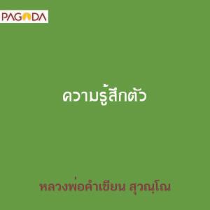 ความรู้สึกตัว รูปภาพ 1