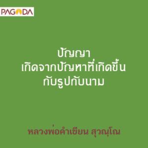 ปัญญา เกิดจากปัญหาที่เกิดขึ้นกับรูปกับนาม รูปภาพ 1