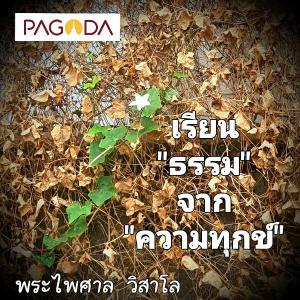 สงบได้เพราะใจยอมรับ รูปภาพ 1