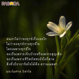 เมตตาเยียวยาใจ รูปภาพ 1