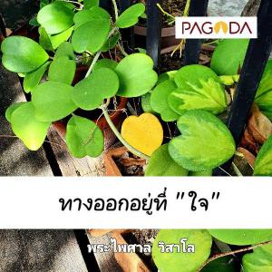 ชนะด้วยธรรม สุขด้วยศีล รูปภาพ 1