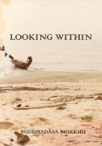 LOOKING WITHIN รูปภาพ 1