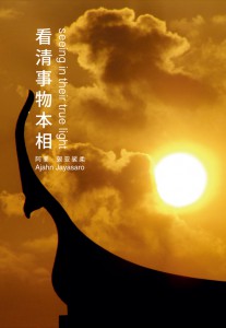 Seeing in their True Light (Chinese) รูปภาพ 1