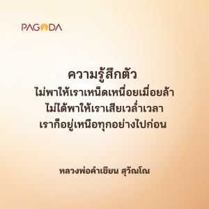 พบกัน ณ ที่มีสติ รูปภาพ 1