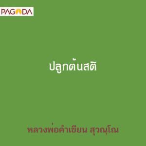 ปลูกต้นสติ รูปภาพ 1