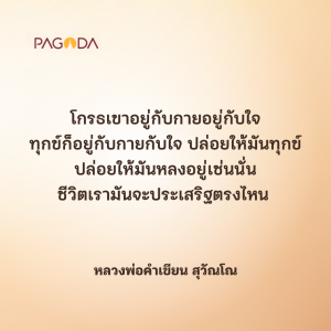 ปลูกต้นสติ รูปภาพ 1