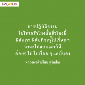 มั่นคงอย่างเต่า รูปภาพ 1