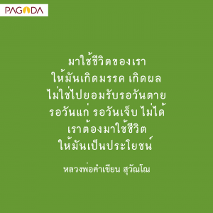ลิขิตชีวิตตน รูปภาพ 1