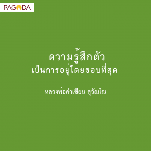 มันหลง มันผิด มันถูก เปลี่ยนเป็นรู้นั่นแหละดี รูปภาพ 1