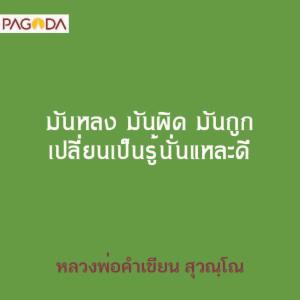 มันหลง มันผิด มันถูก เปลี่ยนเป็นรู้นั่นแหละดี รูปภาพ 1