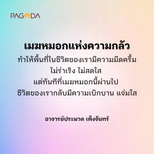 กำจัดความกลัว รูปภาพ 1